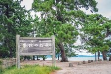 Tourist destination images of Kehi no Matsubara(1)