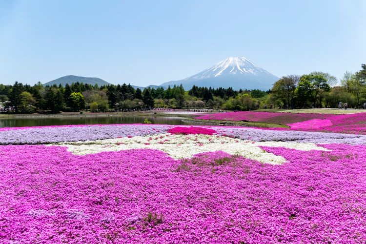 Tourist destination images of Lake Motosuko(3)