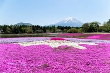 Tourist destination images of Lake Motosuko(3)