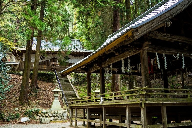 Takeda Shrine (Tsutsujigasaki Castle Site)