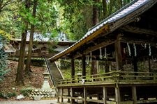 Tourist destination images of Takeda Shrine (Tsutsujigasaki Castle Site)(1)