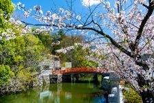 Tourist destination images of Takeda Shrine (Tsutsujigasaki Castle Site)(4)