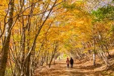 Tourist destination images of Nishizawa Valley(3)