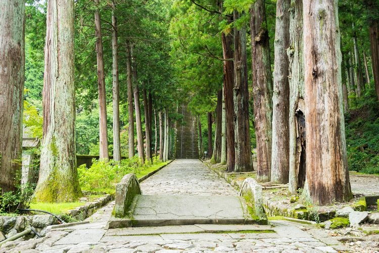 Minobu Mountain Kuonji Temple