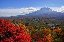 Tourist destination images of Aokigahara Forest(6)