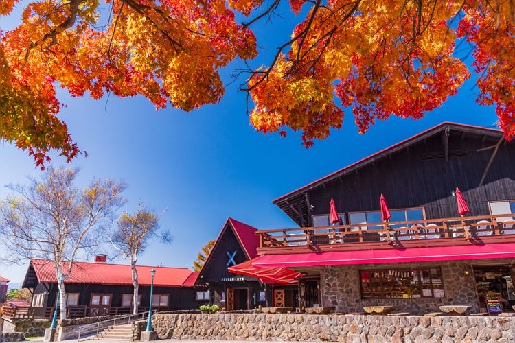 Tourist destination images of Kiyosenryo(4)