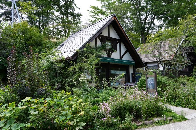 Tourist destination images of Moeginomura(2)