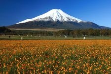 Tourist destination images of Hananomiyako Park(2)