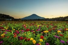 Tourist destination images of Hananomiyako Park(5)