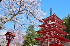 Tourist destination images of Arakura Fuji Sengen Shrine(2)