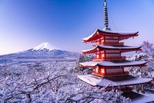 Tourist destination images of Arakura Fuji Sengen Shrine(4)