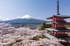 Tourist destination images of Arakura Fuji Sengen Shrine(5)