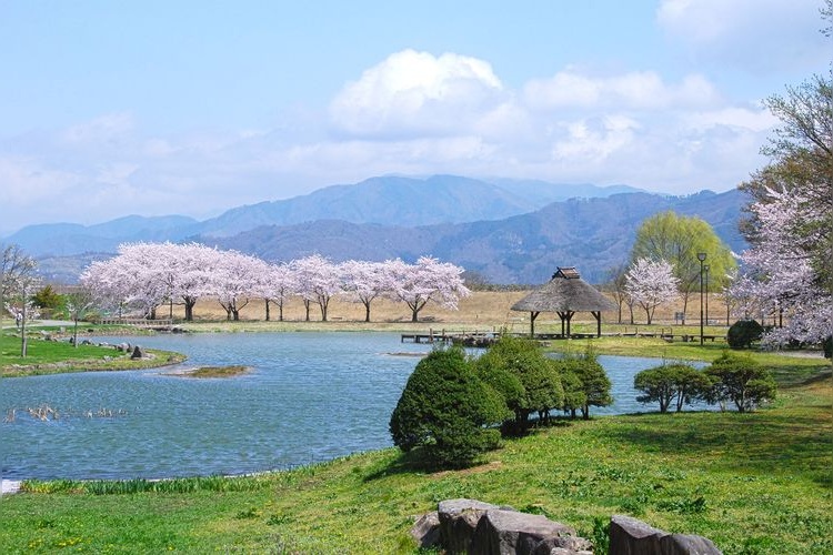 Kawanakajima Kosenjo Historical Park