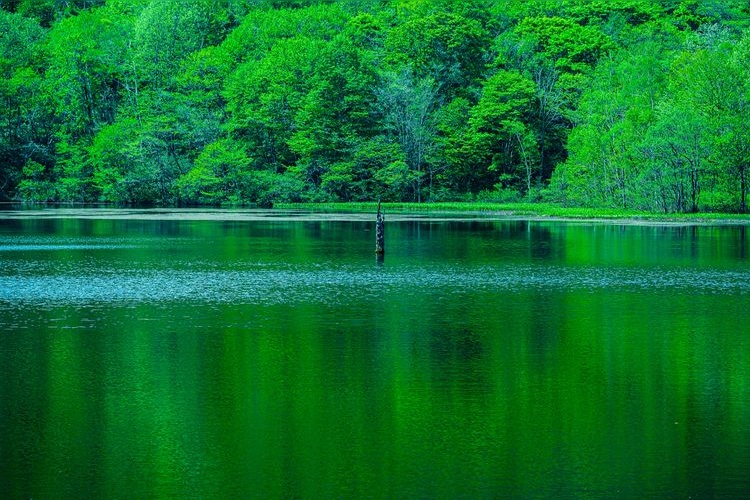 Tourist destination images of Kagamiike Pond(3)