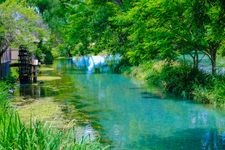 Tourist destination images of Daio Wasabi Farm(3)