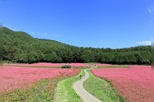 Tourist destination images of Aka-soba no Sato (Red Buckwheat Village)(3)