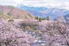 Tourist destination images of Takato Castle Ruins Park(1)