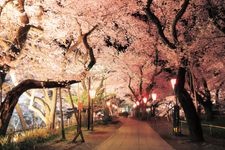 Tourist destination images of Takato Castle Ruins Park(5)