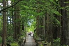 Tourist destination images of Kouzenji Temple(2)