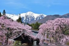 Tourist destination images of Kouzenji Temple(4)