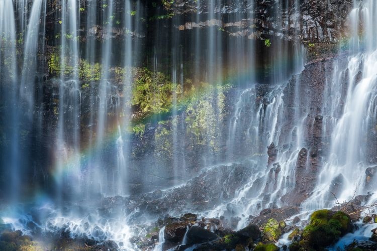 Tourist destination images of Shiraito Falls(4)