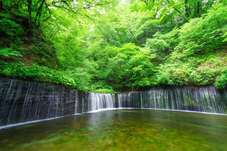 Tourist destination images of Shiraito Falls(3)
