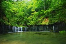 Tourist destination images of Shiraito Falls(3)