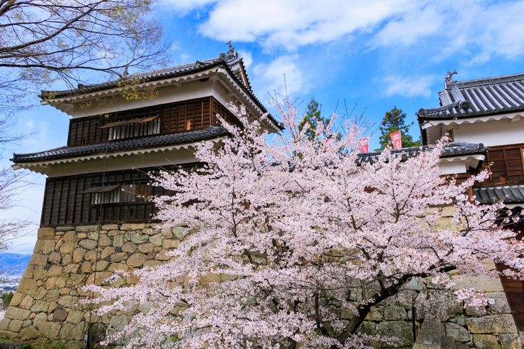 上田城 (Ueda Castle) 2
