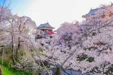 Tourist destination images of Ueda Castle(2)