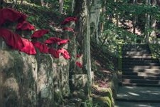 Tourist destination images of Anrakuji Temple(3)