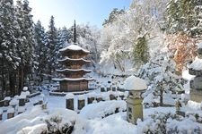 Tourist destination images of Anrakuji Temple(1)