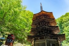 Tourist destination images of Anrakuji Temple(5)