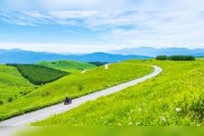 Tourist destination images of Venus Line(1)
