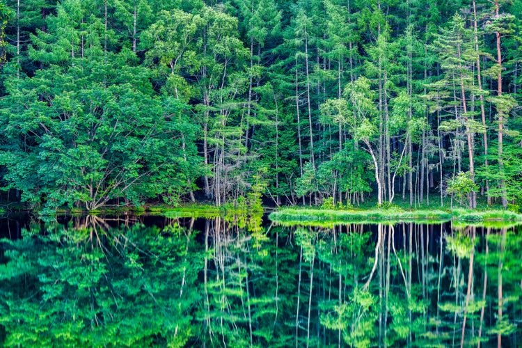 Mishakaike Pond