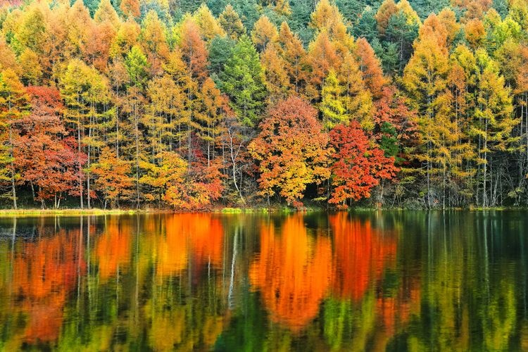 Mishakaike Pond 2