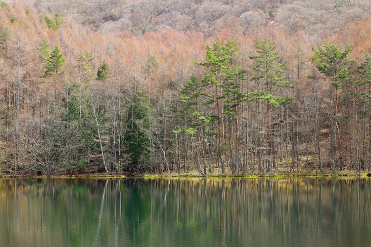 Mishakaike Pond 3
