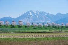 Tourist destination images of Chikuma River Fureai Park(2)