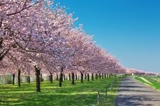 Tourist destination images of Chikuma River Fureai Park(3)