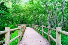 Tourist destination images of Kamikochi(5)