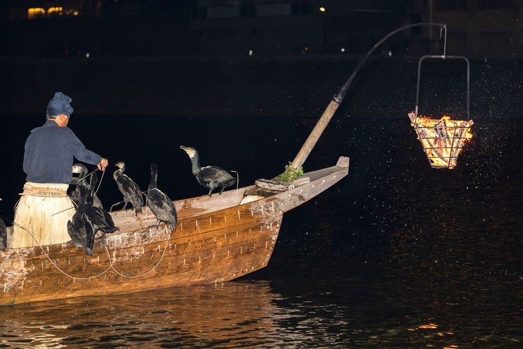 Gifu Nagara River Cormorant Fishing