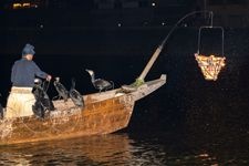 Tourist destination images of Gifu Nagara River Cormorant Fishing(1)