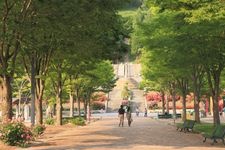 Tourist destination images of Gifu World Rose Garden(1)