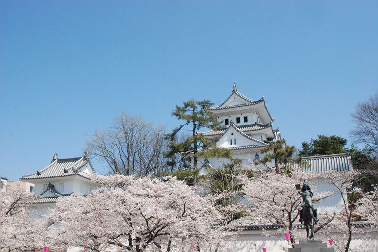 Ogaki Castle