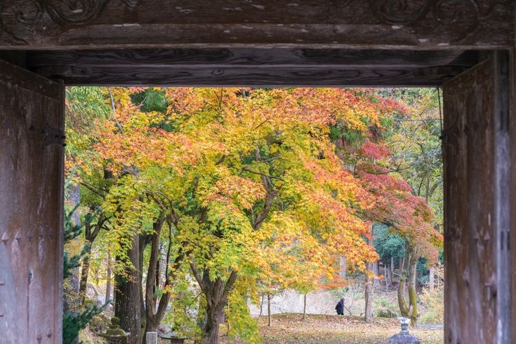 Tourist destination images of Yakugumiyama Kegonji Temple(3)