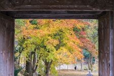 Tourist destination images of Yakugumiyama Kegonji Temple(3)