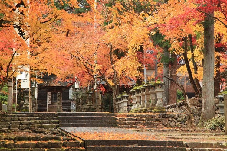 Yakugumiyama Kegonji Temple