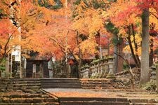 Tourist destination images of Yakugumiyama Kegonji Temple(1)