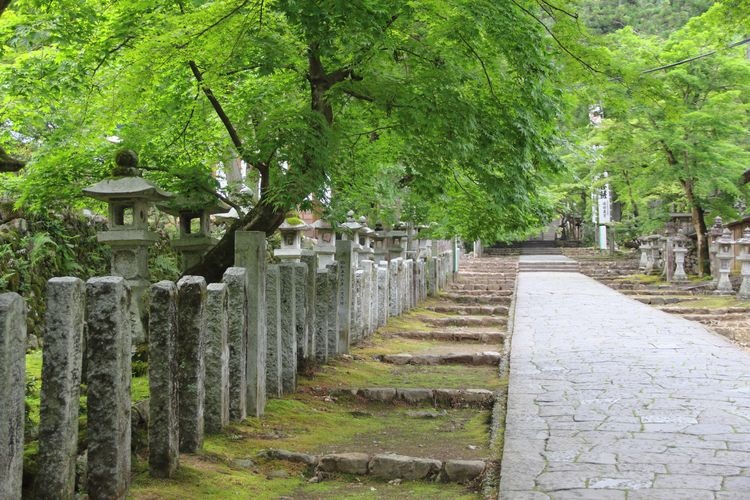 Yakugumiyama Kegonji Temple
