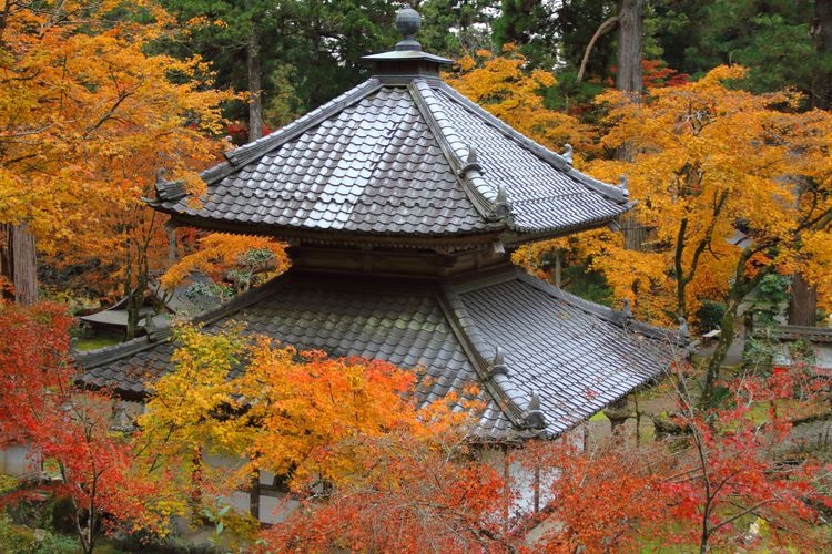 Tourist destination images of Yakugumiyama Kegonji Temple(2)