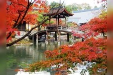 Tourist destination images of Kōkeizan Eihōji Temple(6)